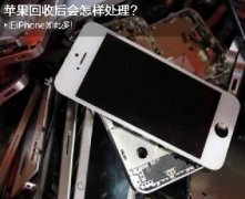 舊iPhone如此多 蘋果回收后會如何處理